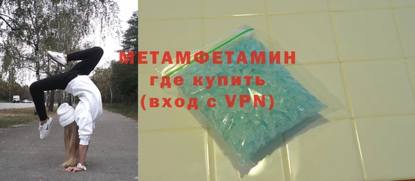 ПСИЛОЦИБИНОВЫЕ ГРИБЫ Богданович