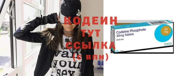 ПСИЛОЦИБИНОВЫЕ ГРИБЫ Богданович