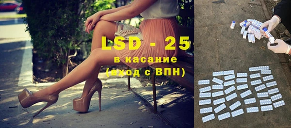 ПСИЛОЦИБИНОВЫЕ ГРИБЫ Богданович