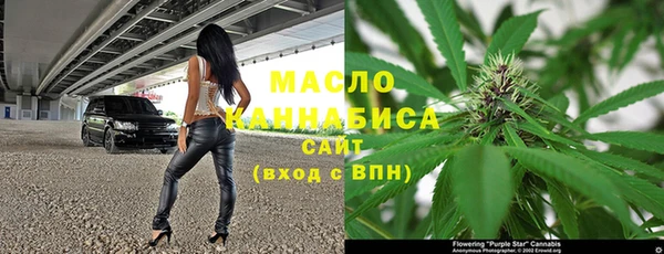 ПСИЛОЦИБИНОВЫЕ ГРИБЫ Богданович