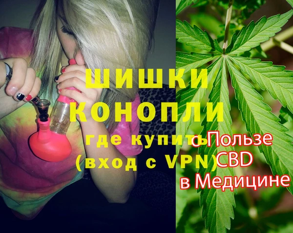 Альфа ПВП Бородино