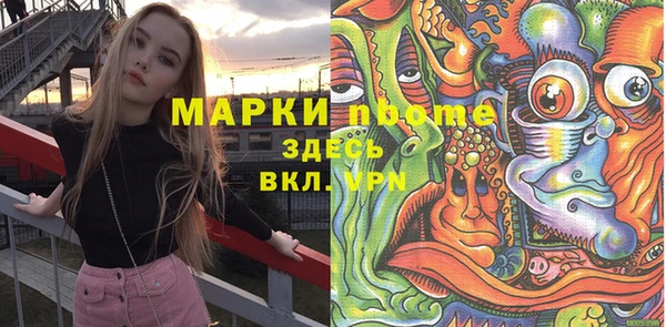 ПСИЛОЦИБИНОВЫЕ ГРИБЫ Богданович
