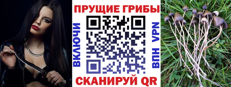 Купить закладки  Еманжелинск  Галлюциногенные грибы Magic Shrooms 